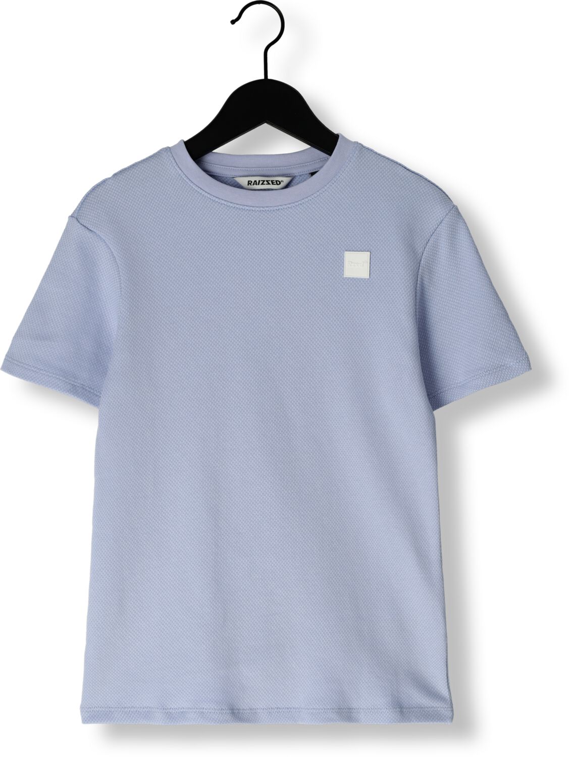 RAIZZED Jongens Polo's & T-shirts Halls Lichtblauw