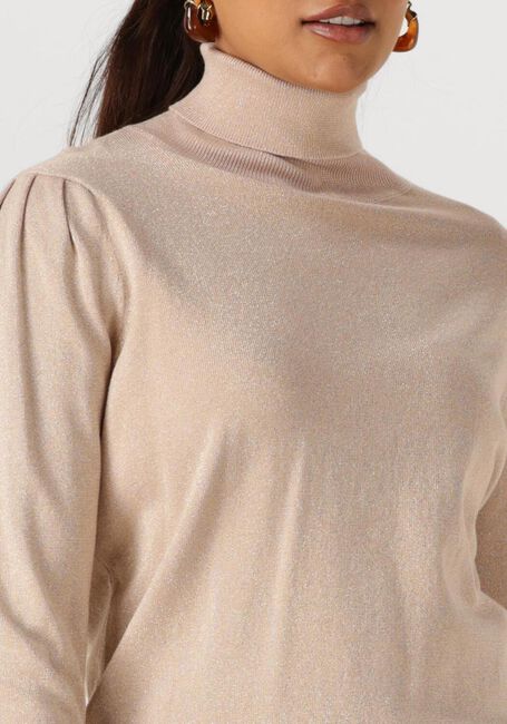 Roze NUKUS Coltrui SYLVIA PULLOVER LUREX - large