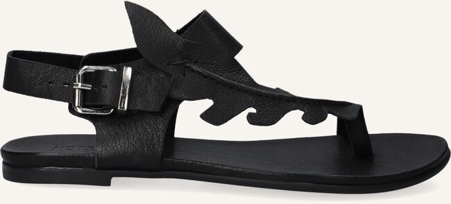 Zwarte NOTRE-V Platte sandalen 101325 Zwarte NOTRE-V Platte sandalen 101325 - large