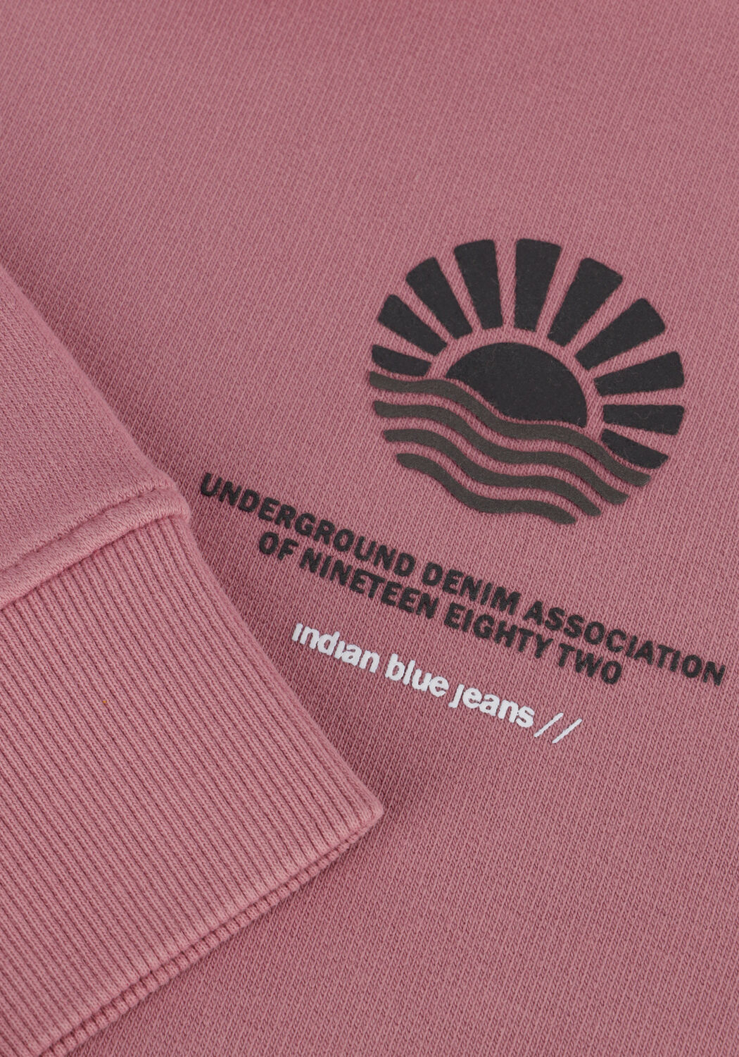 INDIAN BLUE JEANS Jongens Truien & Vesten Hoodie Backprint Roze