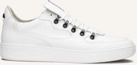 Witte FLORIS VAN BOMMEL Lage sneakers SFM-10089 - medium