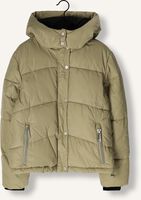 Khaki FRANKIE & LIBERTY Gewatteerde jas TAVIA PERFECT PUFFER Khaki FRANKIE & LIBERTY Gewatteerde jas TAVIA PERFECT PUFFER - medium