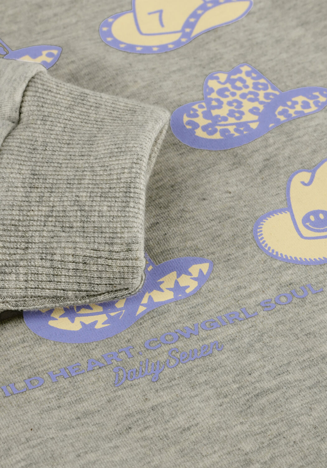 Lichtgrijze DAILY7 Sweater SWEATER BACKPRINT - large