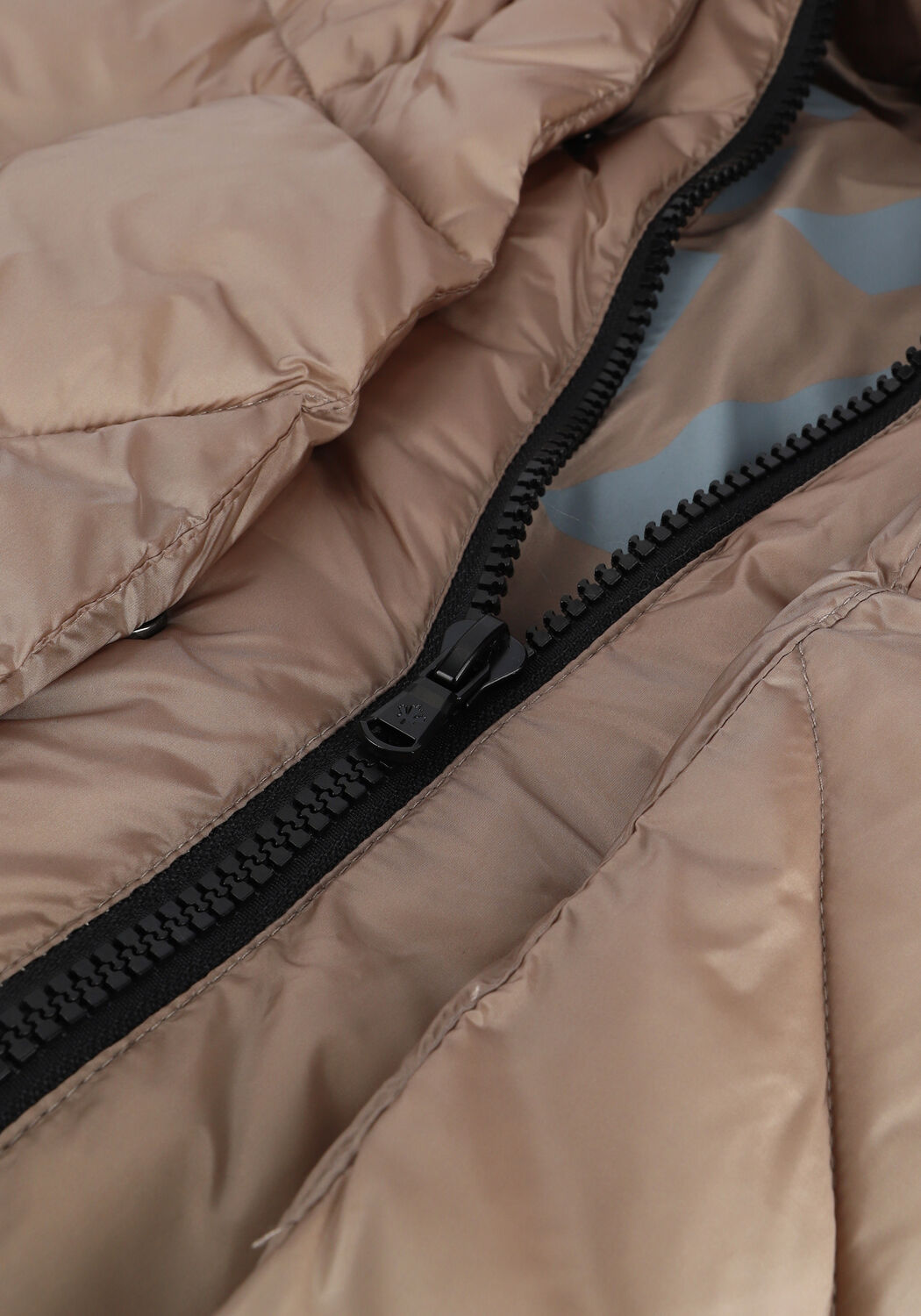 Taupe CANADIAN Gewatteerde jas EUGENIE SHORT SAT - large