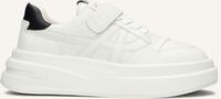 Witte ASH Lage sneakers INDY Witte ASH Lage sneakers INDY - medium