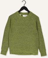 Groene SELECTED WOMEN Trui LULU LS KNIT O-NECK B Groene SELECTED WOMEN Trui LULU LS KNIT O-NECK B - medium
