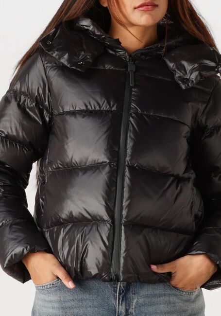 Zwarte PEUTEREY Gewatteerde jas KENID - large