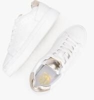 Witte PS POELMAN Lage sneakers TITULAR - medium