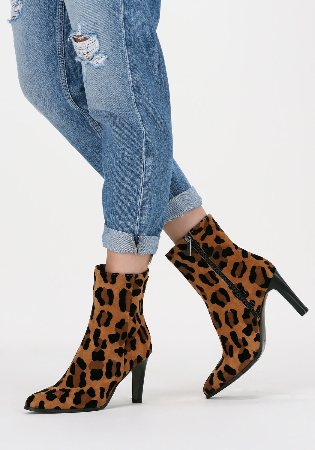 Camel NOTRE-V Enkellaarsjes 18236 - large