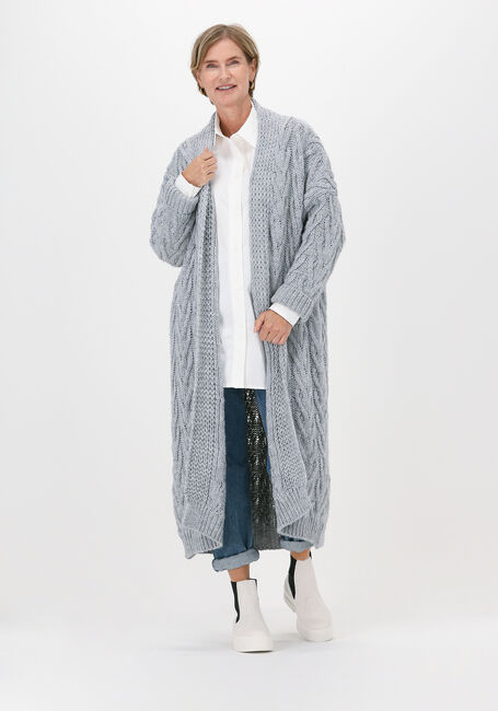 Grijze SIMPLE Vest PISO - large