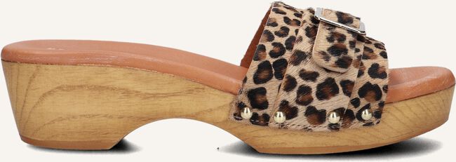 Bruine RED-RAG Muiltjes 79606 Bruine RED-RAG Muiltjes 79606 - large