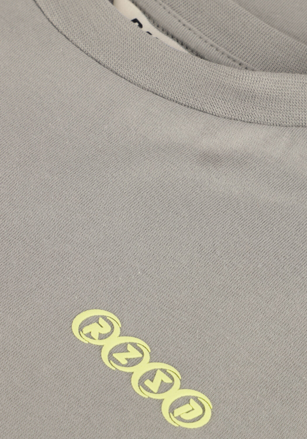 Grijze RAIZZED T-shirt HARTON - large