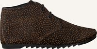 Bruine MARUTI Veterschoenen GINNY - medium
