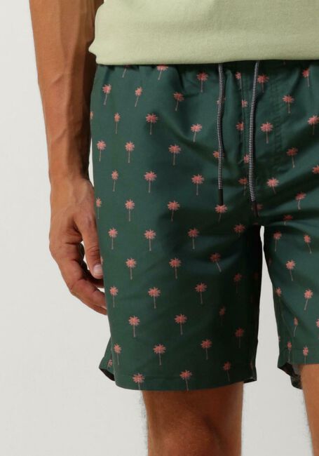 Groene SHIWI Zwembroeken MEN SWIMSHORT PALM - large