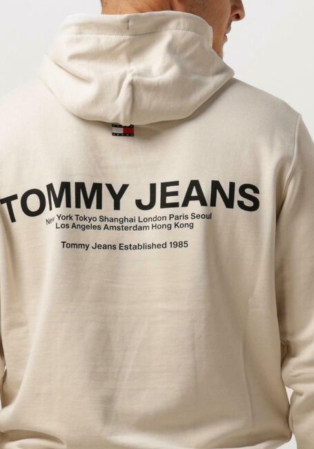 Beige TOMMY JEANS Sweater TJM REG ENTRY GRAPHIC HOODIE - large