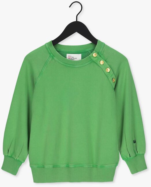 Groene LEON & HARPER Sweater SALLY JC55 PLAIN - large