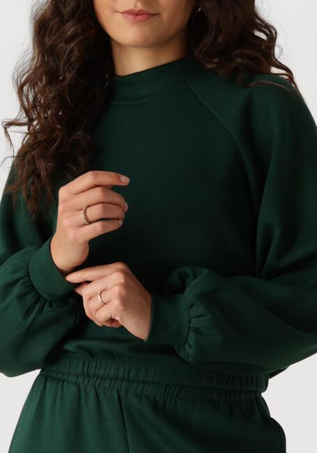 Groene MSCH COPENHAGEN Sweater MSCHEDILINA IMA Q SWEATSHIRT - large