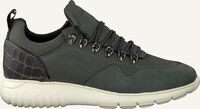 Groene MAZZELTOV Lage sneakers MNAGO106.07OMO1 - medium