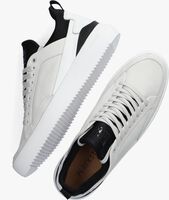 Grijze BLACKSTONE Lage sneakers XG88 - medium