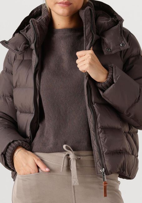 Taupe MOSCOW Gewatteerde jas 12-08 BRANDY - large
