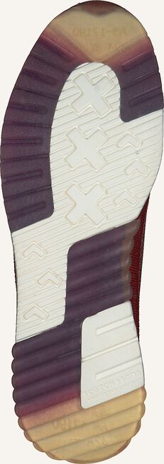 Multi SCOTCH & SODA Lage sneakers VIVEX Multi SCOTCH & SODA Lage sneakers VIVEX - large