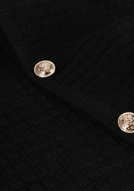 Zwarte NEO NOIR Vest LIMONE KNIT JACKET Zwarte NEO NOIR Vest LIMONE KNIT JACKET - large