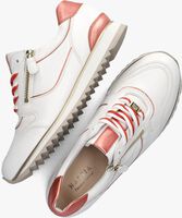 Witte HASSIA Lage sneakers 302030 - medium