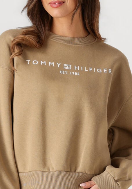 Zand TOMMY HILFIGER Sweater CORP LOGO MDRN SWTSRT - large