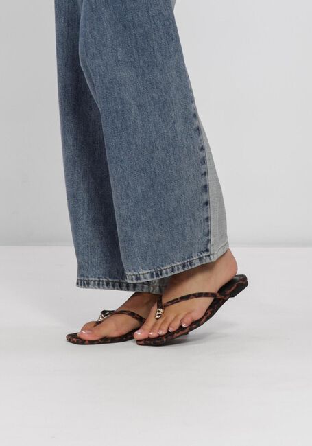 Bruine STEVE MADDEN Slippers MALIYAH - large