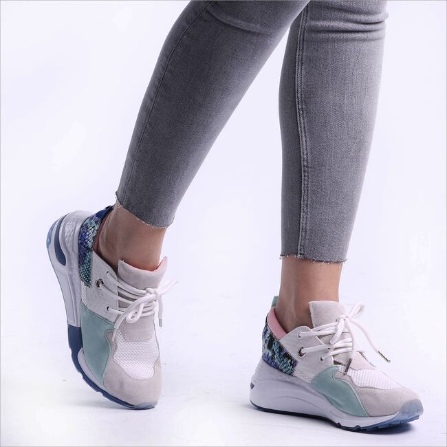 Multi STEVE MADDEN Lage sneakers CLIFF SNEAKER Multi STEVE MADDEN Lage sneakers CLIFF SNEAKER - large