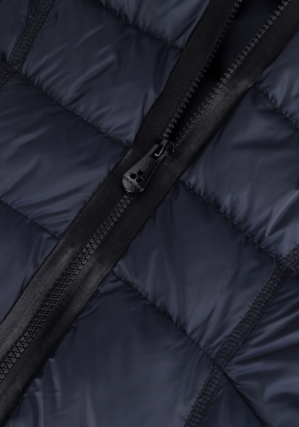 Donkerblauwe PEUTEREY Gewatteerde jas LEVARIA MQE - large