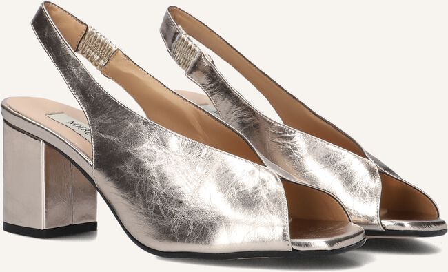 NOTRE-V 16068 NOTRE-V 16068 - large