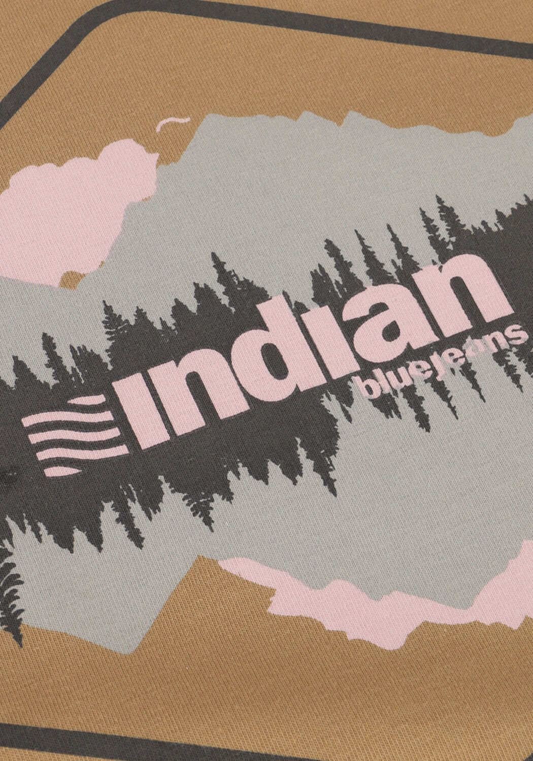 Camel INDIAN BLUE JEANS T-shirt T-SHIRT CHEST PRINT - large