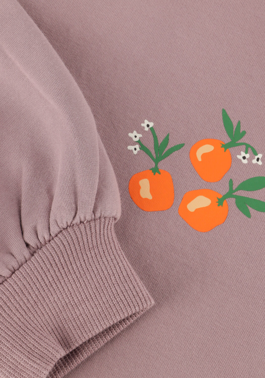 Paarse Z8 Sweater VENETIA - large