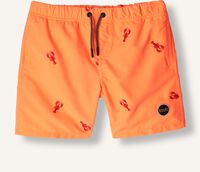 Oranje SHIWI Zwembroeken SWIMSHORT LOBSTER EMBROIDERY Oranje SHIWI Zwembroeken SWIMSHORT LOBSTER EMBROIDERY - medium
