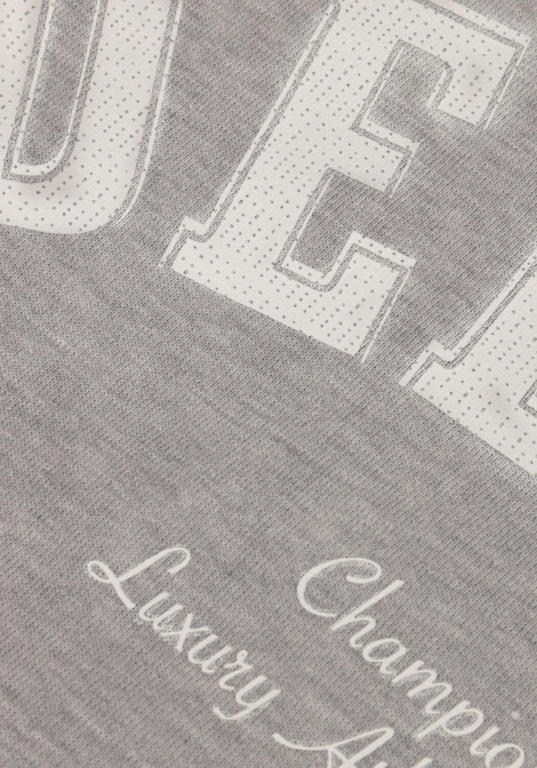 Grijze DEBLON SPORTS Sweater CIA SWEATER - large