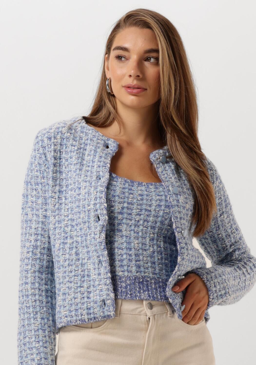 FABIENNE CHAPOT Dames Truien & Vesten Josh Cardigan Blauw