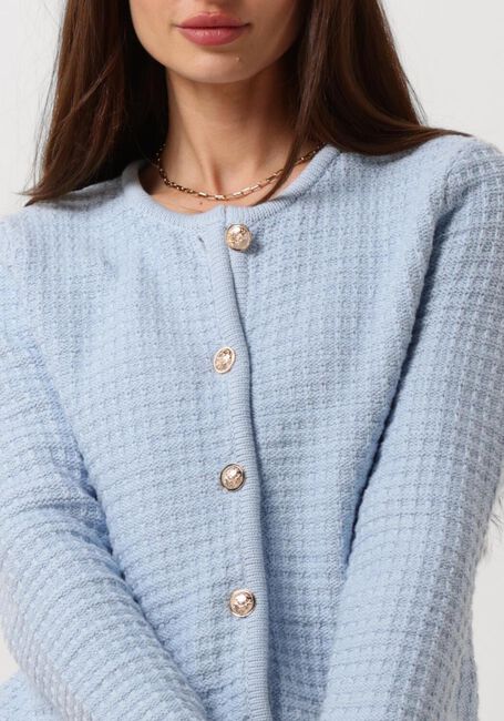 Lichtblauwe NEO NOIR Vest LIMONE KNIT JACKET - large