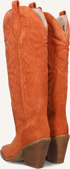 BRONX NEW-KOLE 14177 BRONX NEW-KOLE 14177 - large