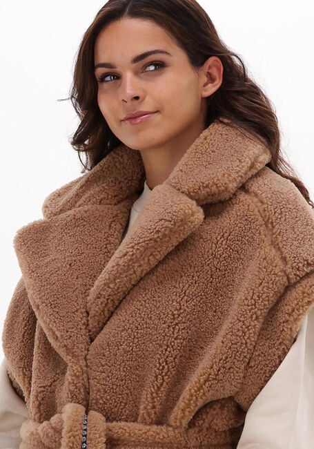 Camel GOOSECRAFT Gilet RILEY VEST - large