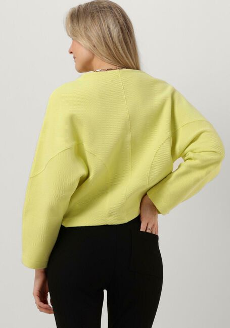 Groene VANILIA Sweater STRUC 85 SWEAT - large