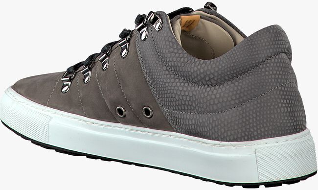 Taupe HINSON DEXTER HIKING Sneakers - large