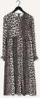Bruine CATWALK JUNKIE Midi jurk DR WILD LEOPARD Bruine CATWALK JUNKIE Midi jurk DR WILD LEOPARD - medium