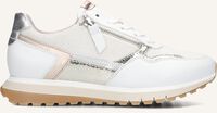 Witte GABOR Lage sneakers 378 - medium