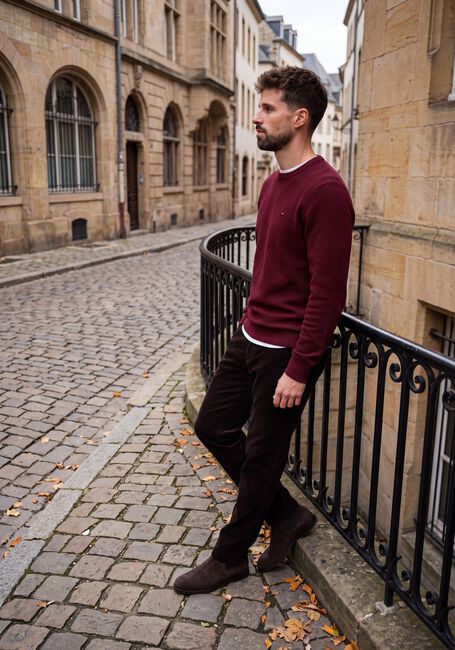Bordeaux TOMMY HILFIGER Trui ESSENTIAL STRUCTURE CREW NECK - large