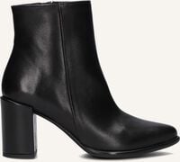 NOTRE-V 67034 - medium