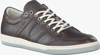 Bruine VAN LIER Sneakers 7302  - medium