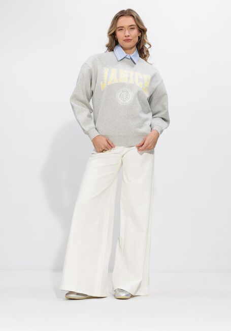 Grijze JANICE Truien/vesten OWEN - large