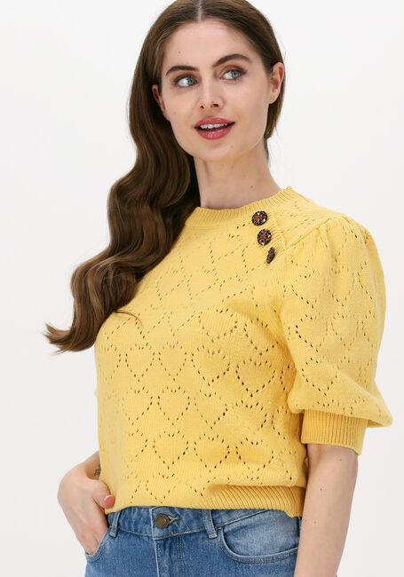 Gele FABIENNE CHAPOT Trui DIANA PULLOVER - large