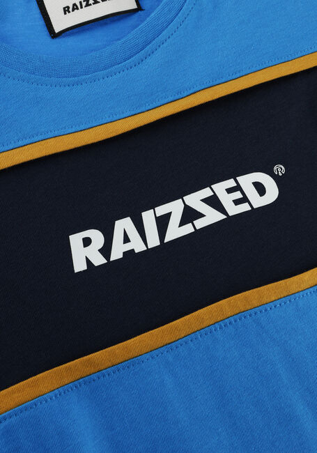 Blauwe RAIZZED T-shirt SCOTTVILLE - large